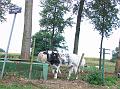 Tijdens de voormiddagrit was de opdracht de letters langs de weg te noteren en hiermede een woord te vormen (7)